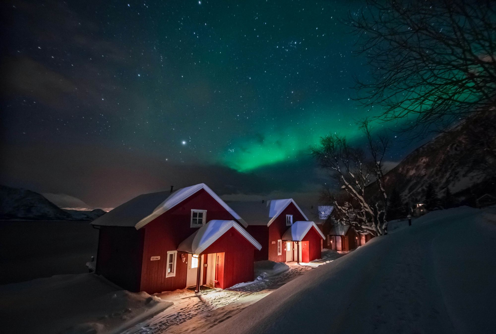 Cottage rossi in Lapponia e l’aurora boreale sullo sfondo. © Kuznetsova Julia/Shutterstock