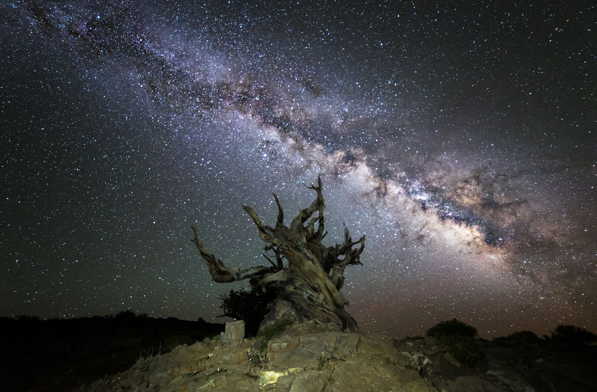 La Via Lattea, vista dal Schulman Grove, in California ©Pamela Marcelino/Shutterstock