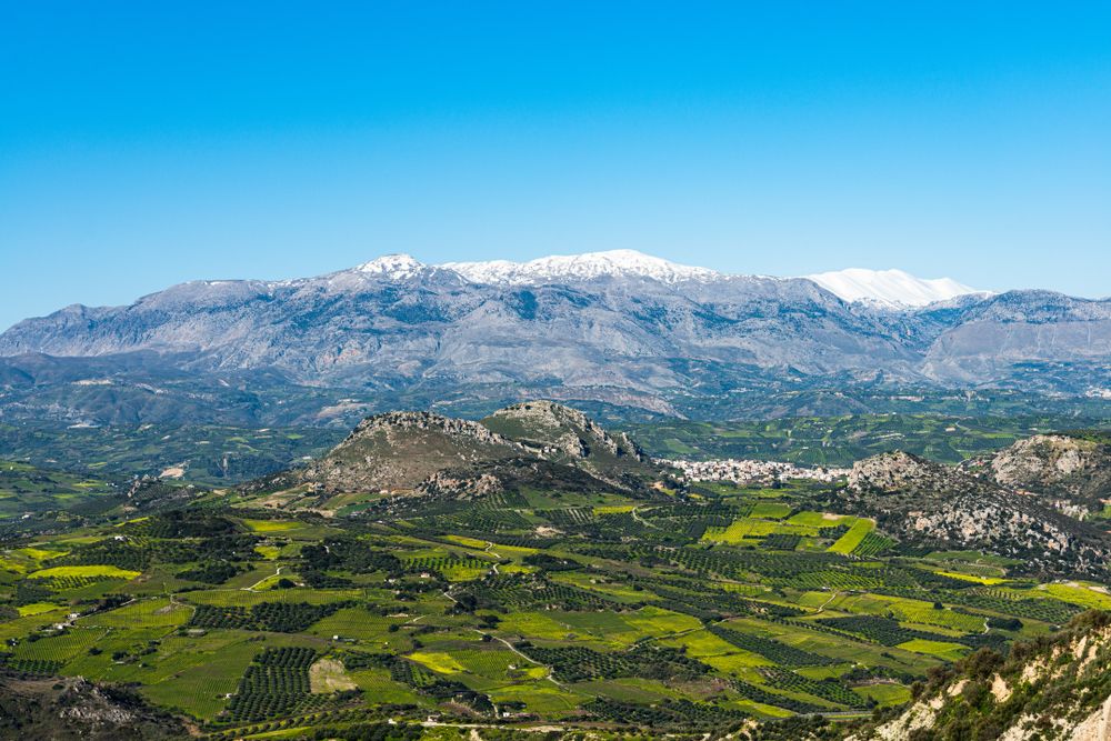 I vigneti nei dintorni di Heraklion ©GP PHOTOTRENDS /Shutterstock