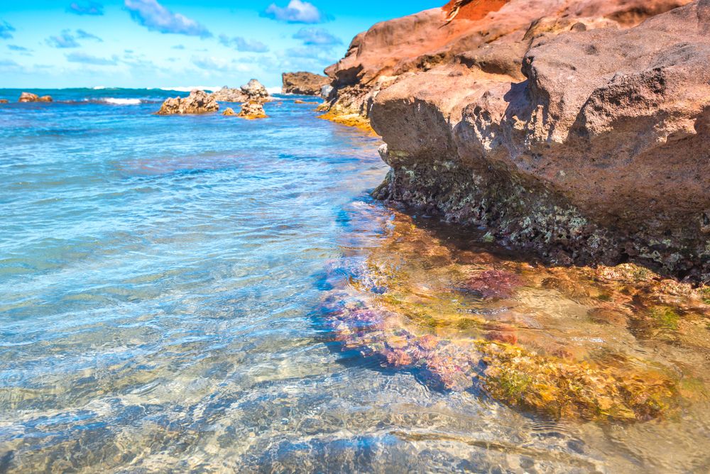 Il mare a Calibishie. Credits KevinClarkArt / Shutterstock