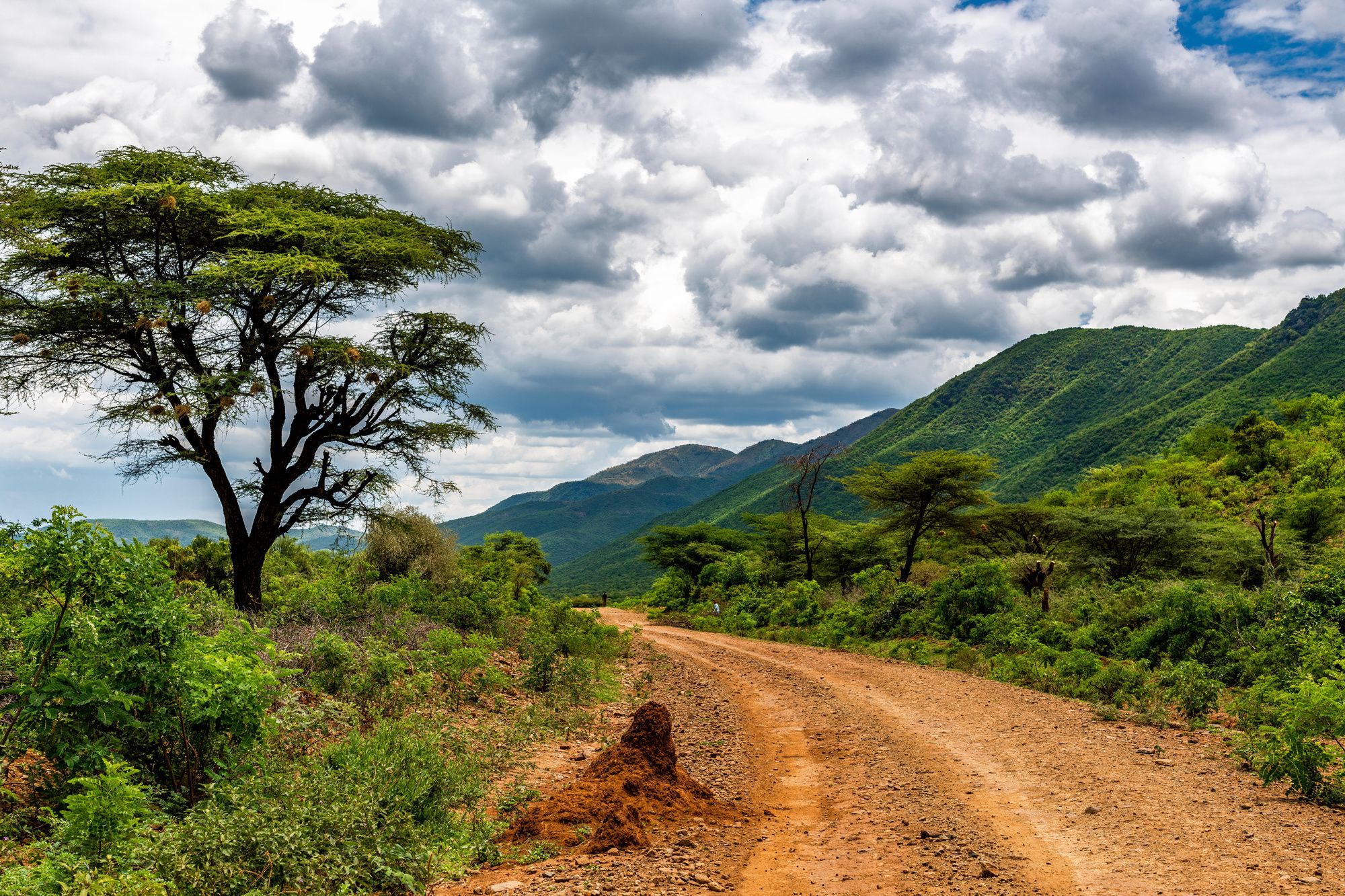 Nelle Central Highlands la conservazione si unisce a un turismo responsabile ©Jen Watson/Shutterstock