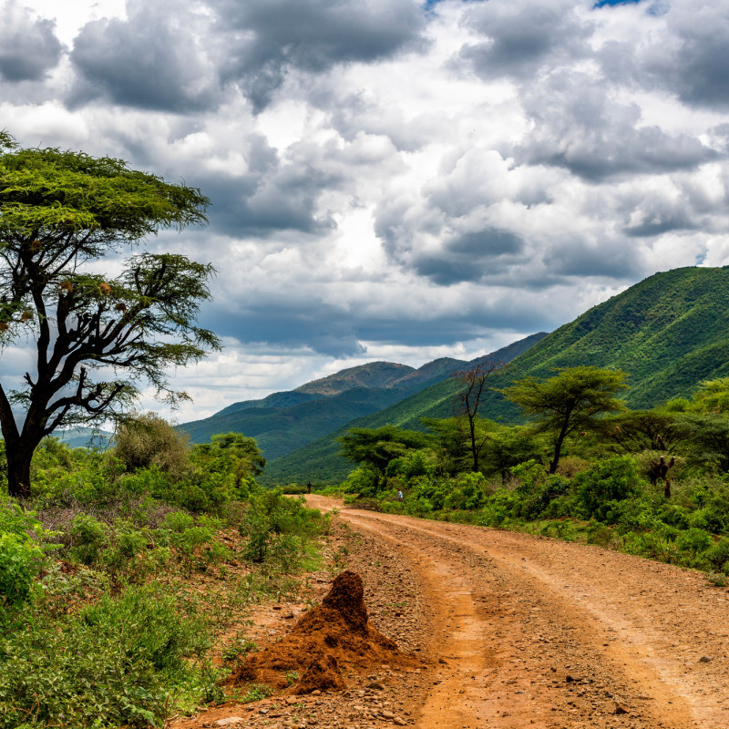 Nelle Central Highlands la conservazione si unisce a un turismo responsabile ©Jen Watson/Shutterstock