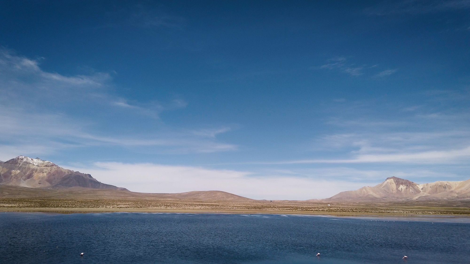 Nel lago Chungará si possono osservare fenicotteri e altre specie tipiche di questa zona ©Lisa Zillio