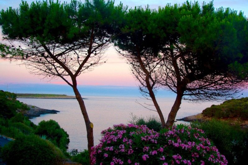 dove si trova l'arcipelago toscano e altri consigli per visitarlo