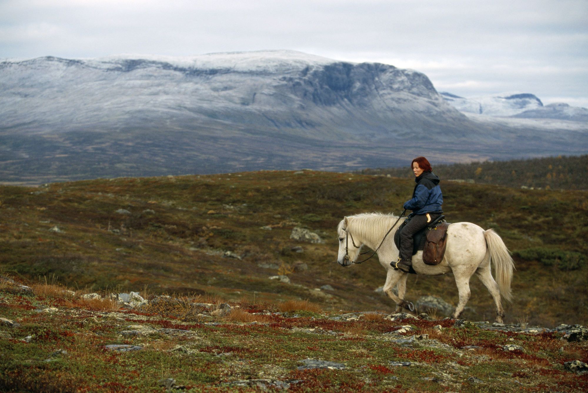 Una donna Sami a cavallo©BMJ/Shutterstock