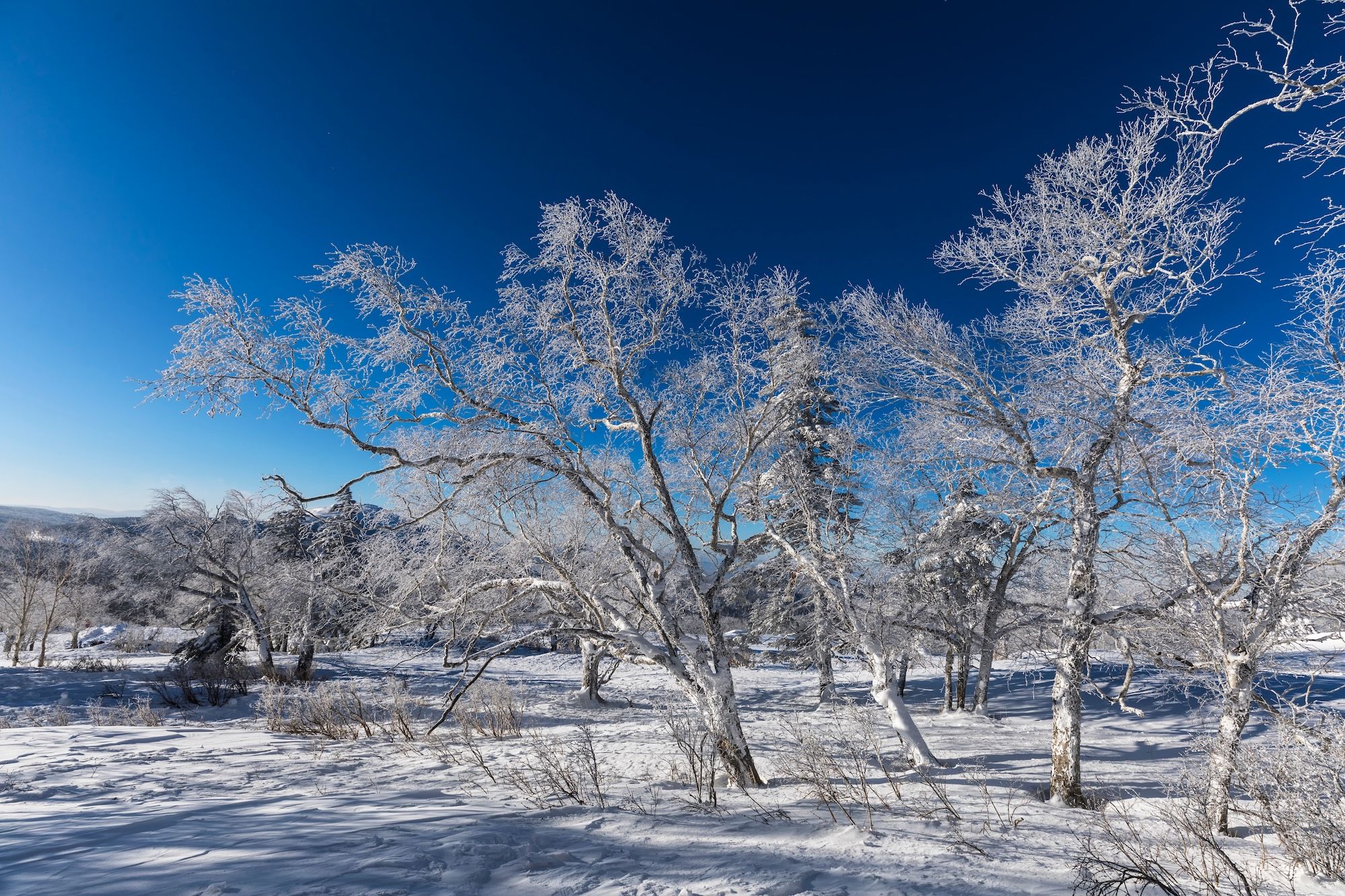 Sono pochi gli stranieri che si spingono nei luoghi più remoti della Cina per sciare © YAO DEKANG / Shutterstock
