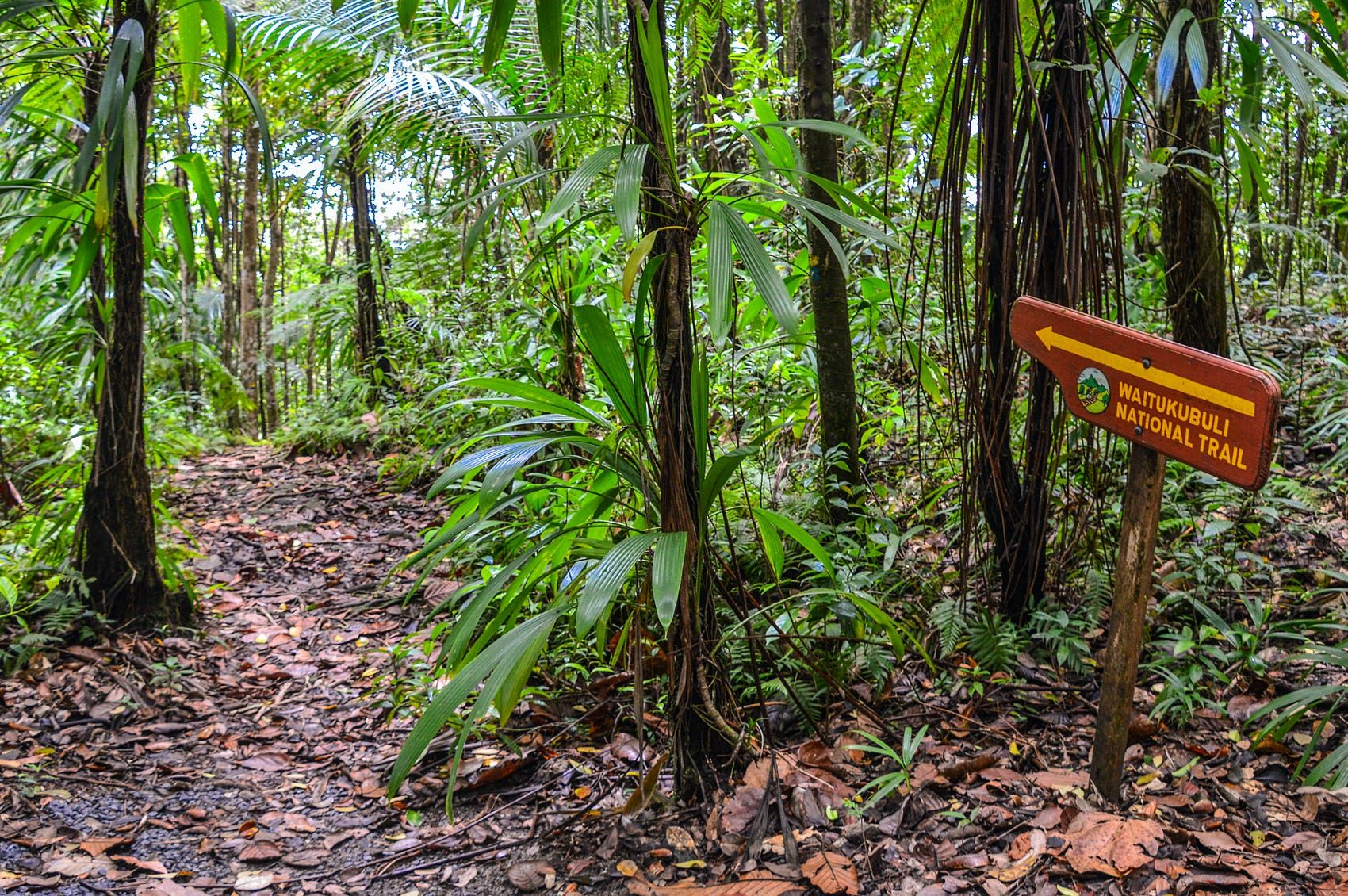 Waitukubuli National Trail