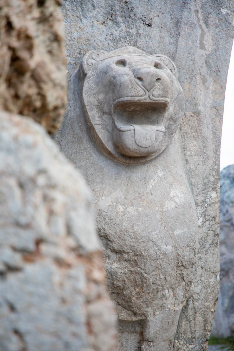Una testa di leone a Hattuşa ©Stock City/Shutterstock