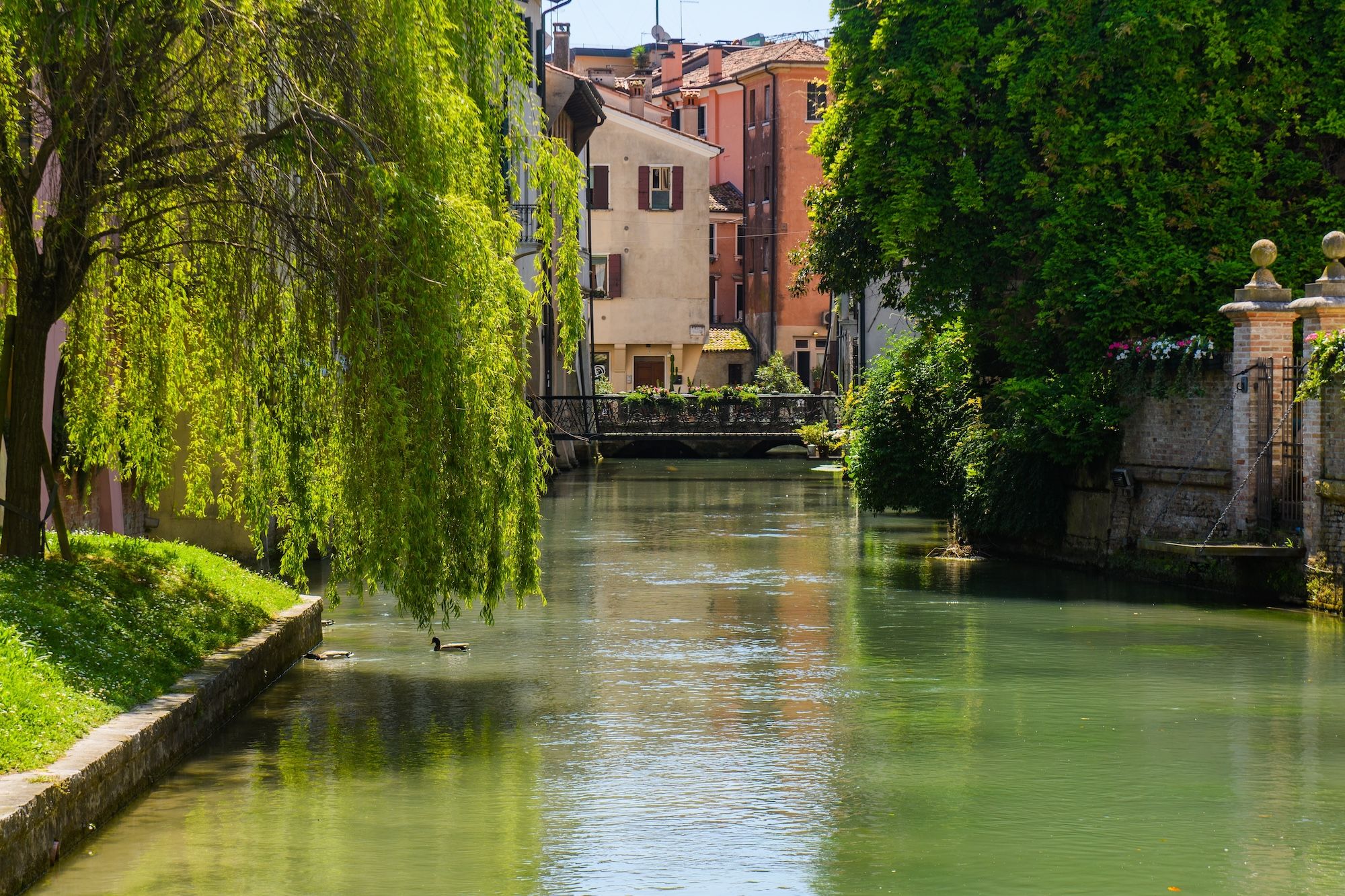 Il Canale dei Buranelli, a Treviso ©Simone Padovani / Shutterstock