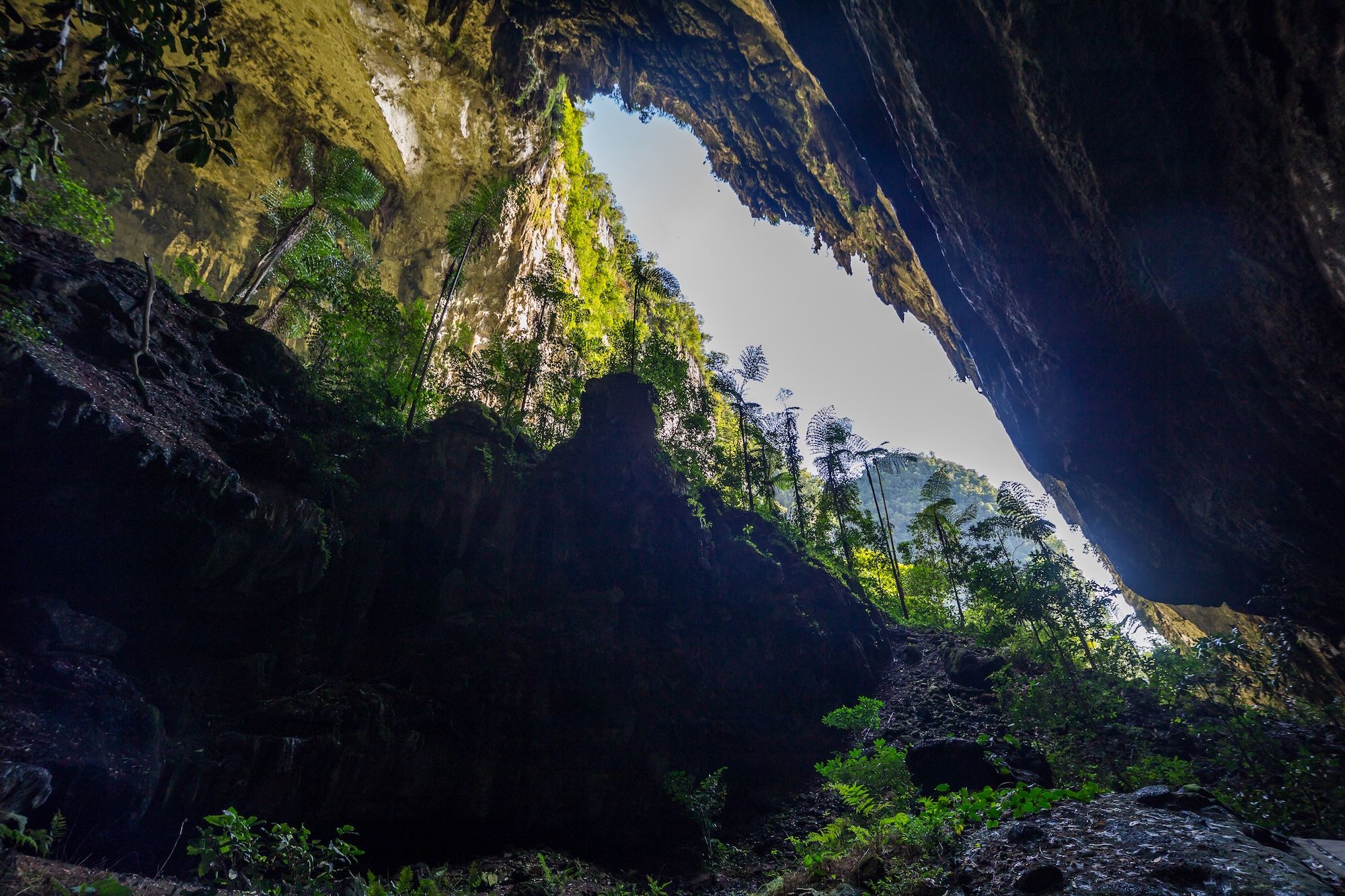 La Deer Cave, lunga 2 km e alta 174 m ©Pavel Tvrdy /Shutterstock