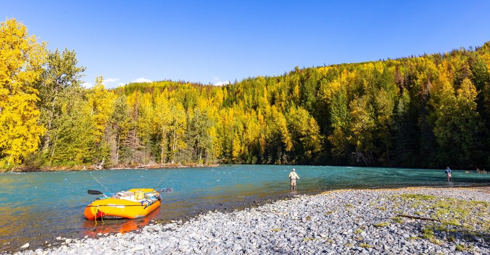 Pesca al Kenai River. Credits CSNafzger / Shutterstock