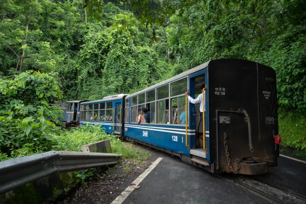 Un diesel Toy train che attraversa la giungla © Rudra Narayan Mitra /Shutterstock