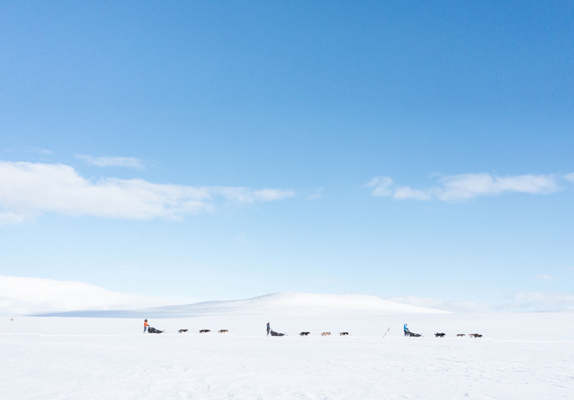 300 km in slitta, trainata da cani, nella tundra artica scandinava © Fjallraven