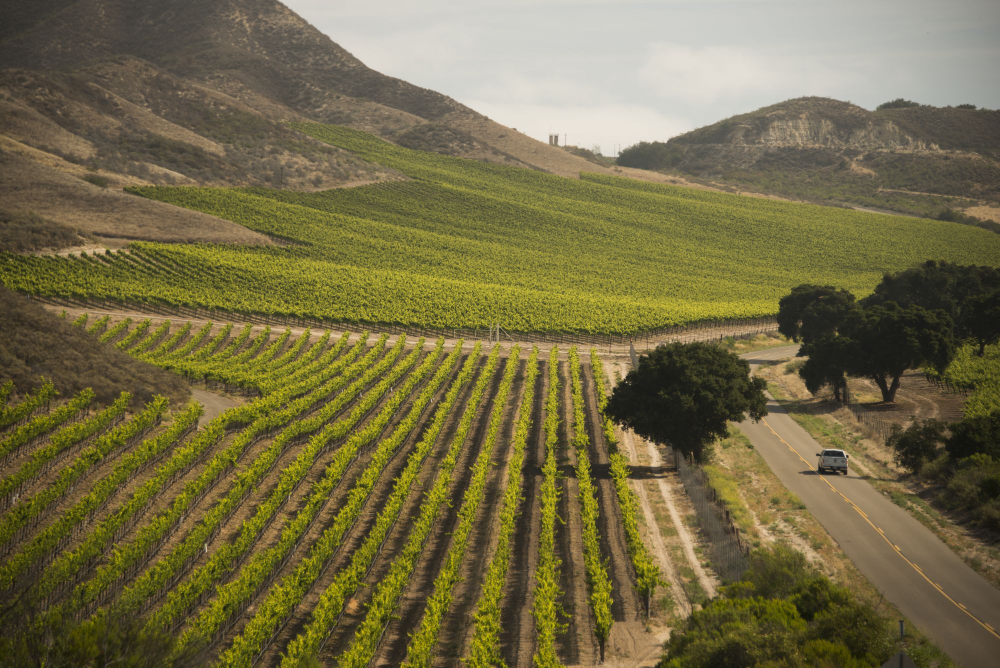 California centrale, Santa Ynez valley