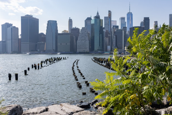 Il luogo felice di chi scrive: La passeggiata di Brooklyn Heights con vista sullo skyline di New York ©James Andrews / Getty Images