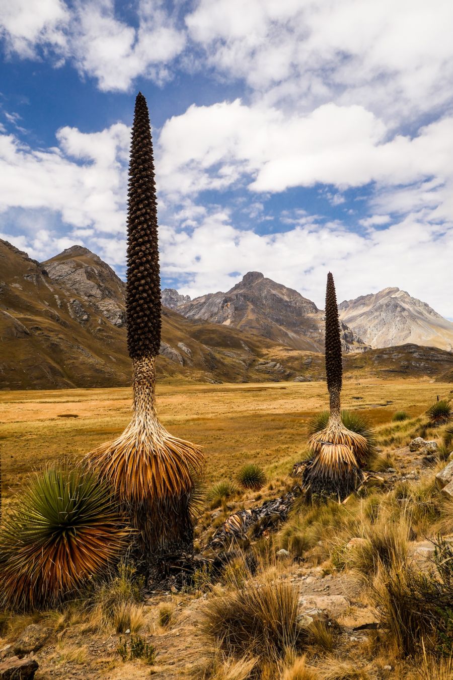 La regina delle Ande in Perù ©anyisa/Shutterstock