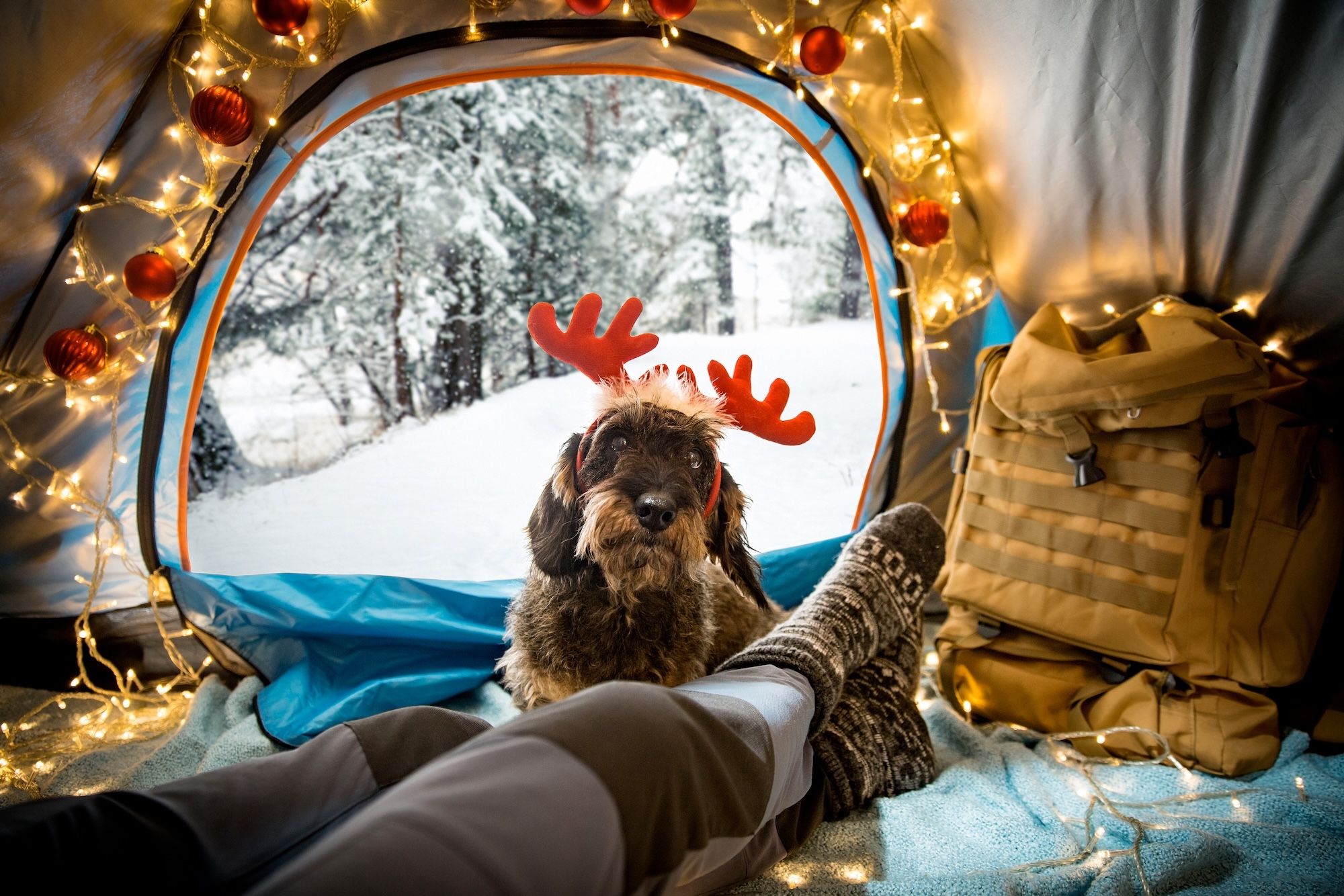 l Natale è l’occasione perfetta per sorprendere chi ama viaggiare con il regalo giusto ©Aleksandra Suzi/Shutterstock
