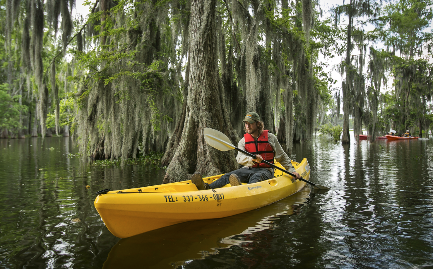 Tra gli alberi del bayou. Credits Explorelouisiana.com