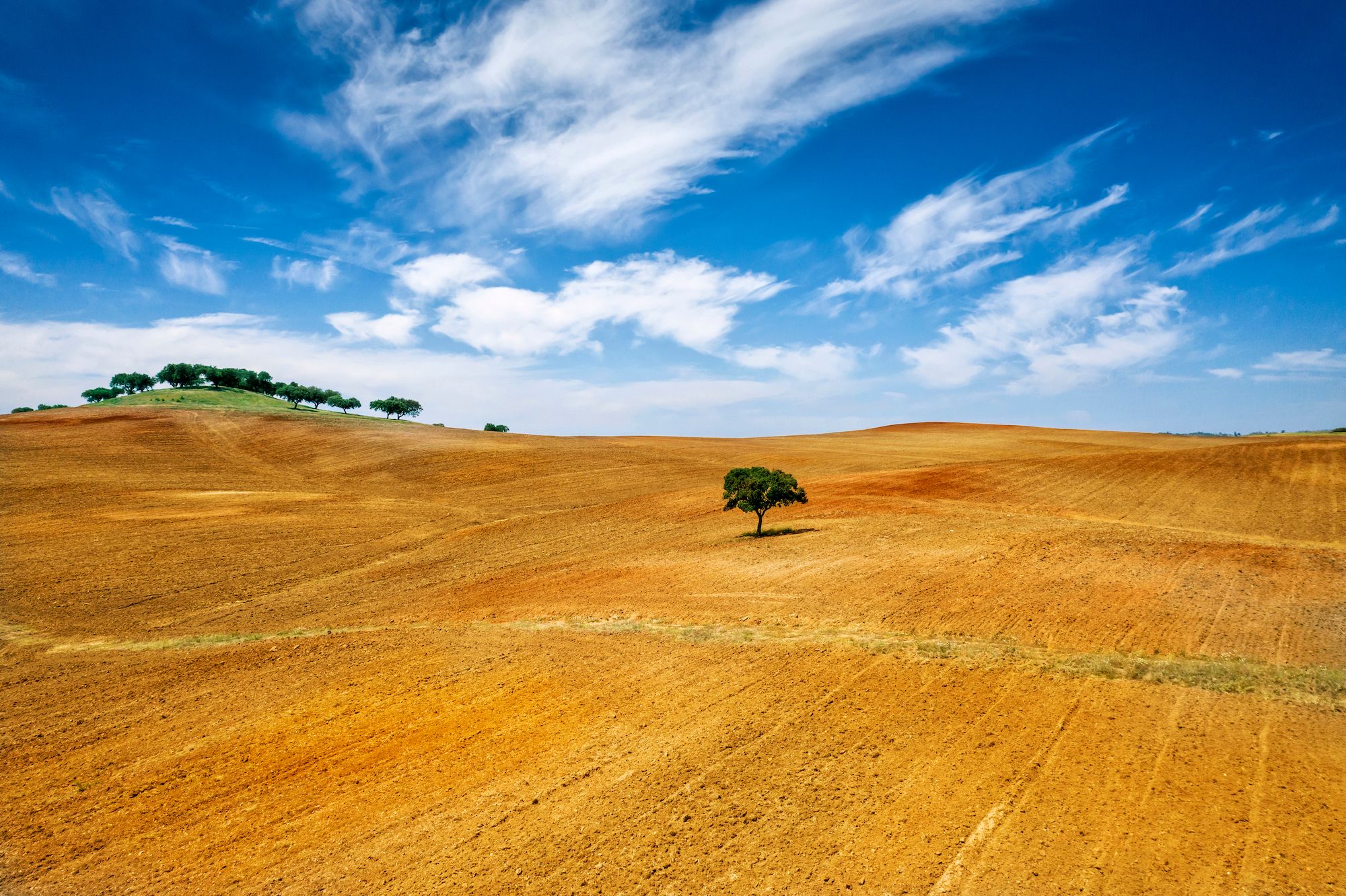 I grandi spazi dell’Alentejo ©Policas