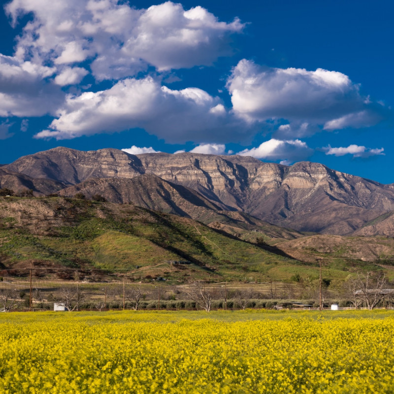 Le Topa Topa Mountains nella valle di  Ojai©Joseph Sohm/Shutterstock