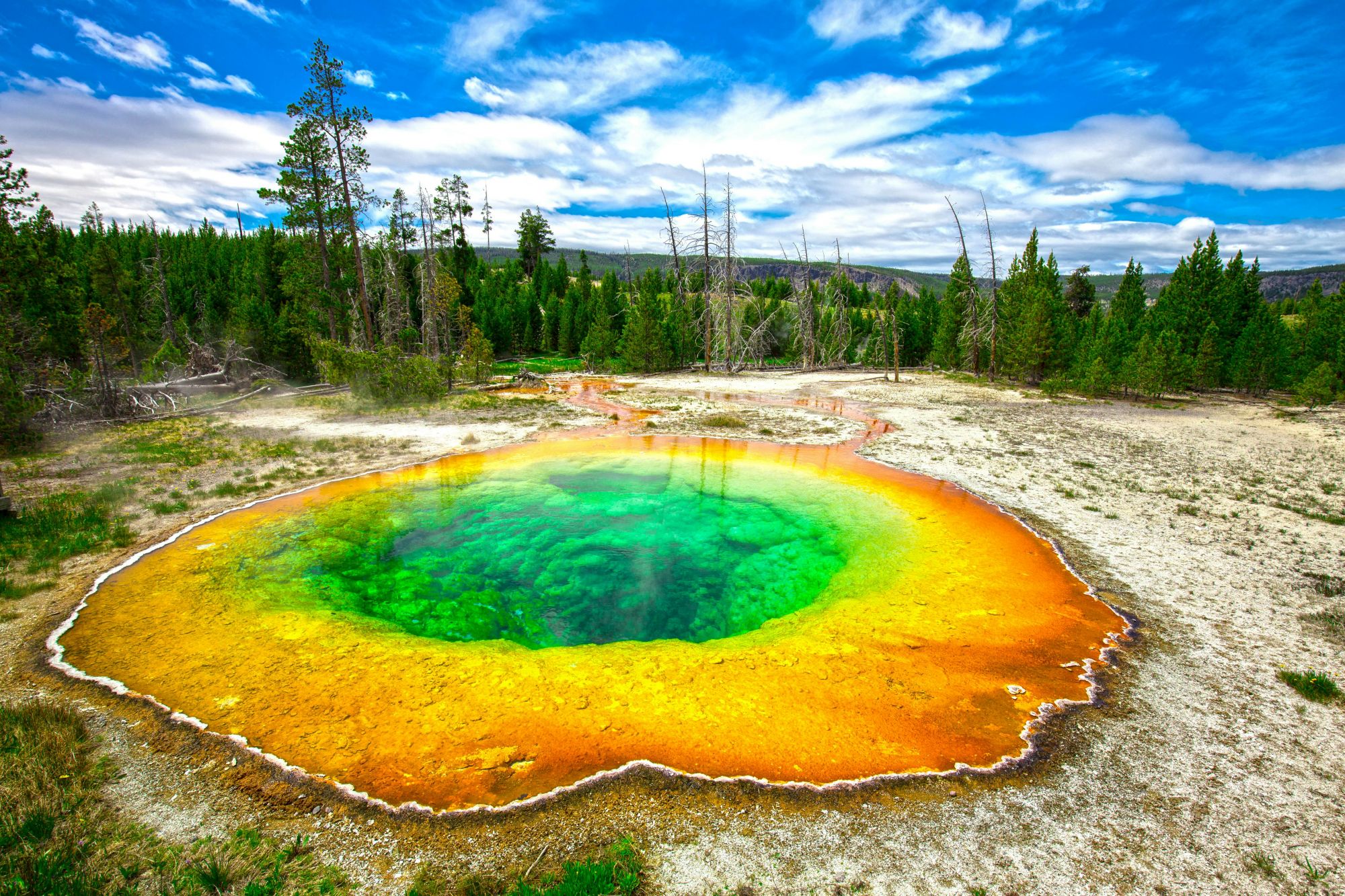 Geyser zampillanti, fauna selvatica e sorgenti termali arcobaleno vi aspettano a Yellowstone. © Mia2you/Shutterstock