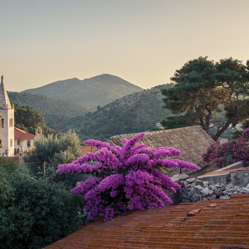 La città vecchia di Lastovo  ©Domagoj Ruzicka/Shutterstock