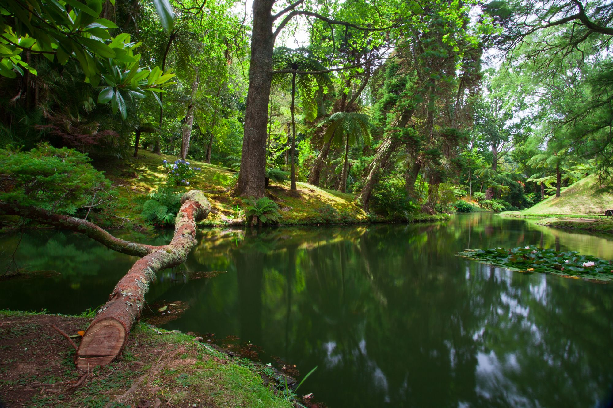 Trekking a Sao Miguel, Azzorre