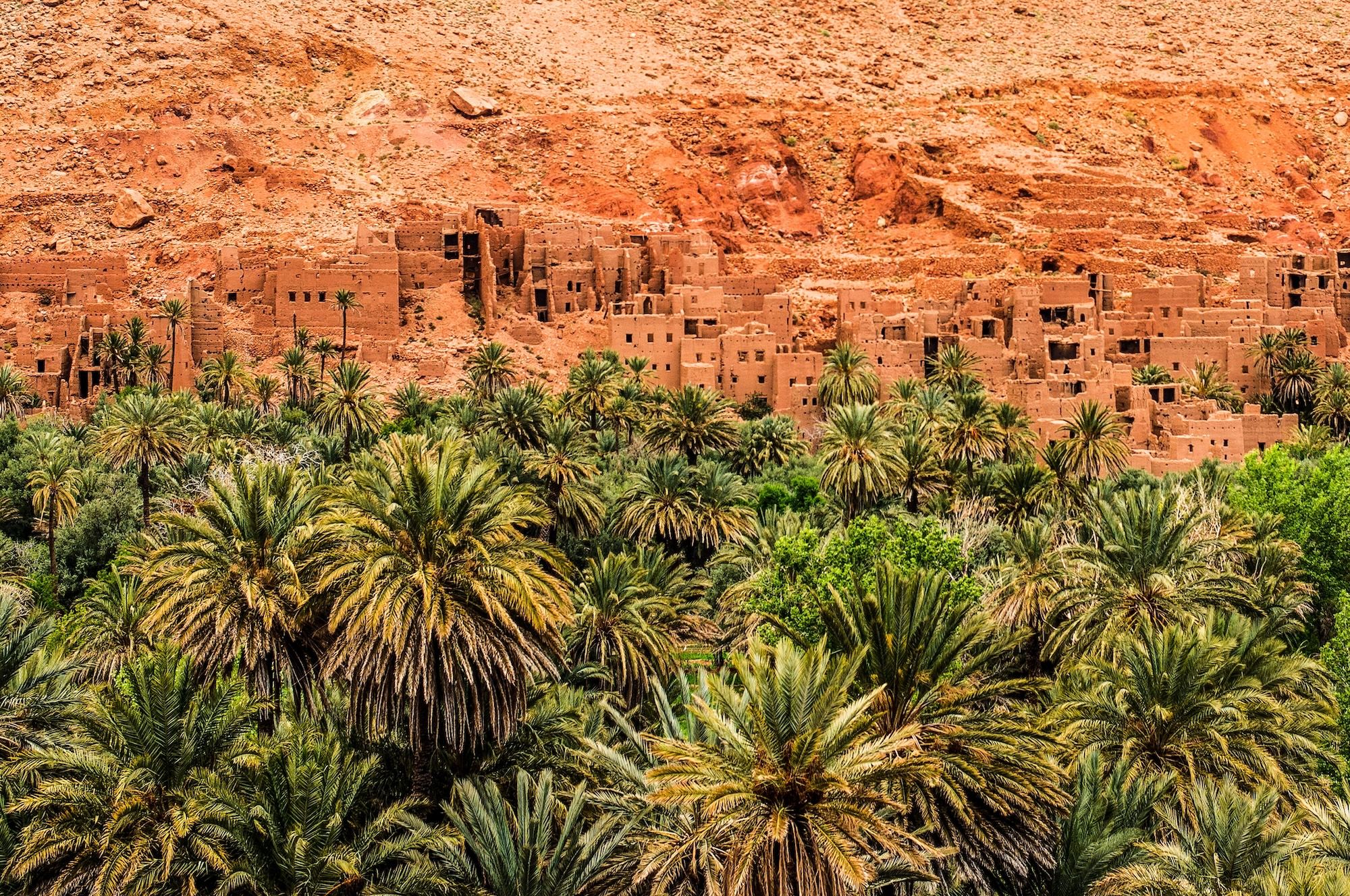 Un villaggio tradizionale nell zona di Timimoun © Hussain Warraich/Shutterstock