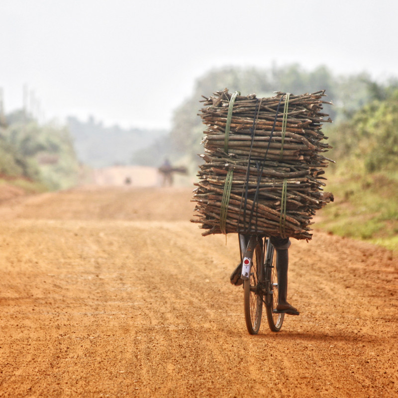 Uomo trasporta legno in bicicletta, Benin, Africa occidentale