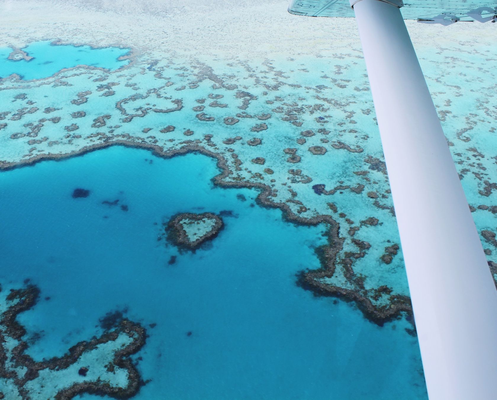 Ammirate la famosa Heart Reef, nelle Whitsundays, con un volo panoramico. © Yannik Photography / Shutterstock