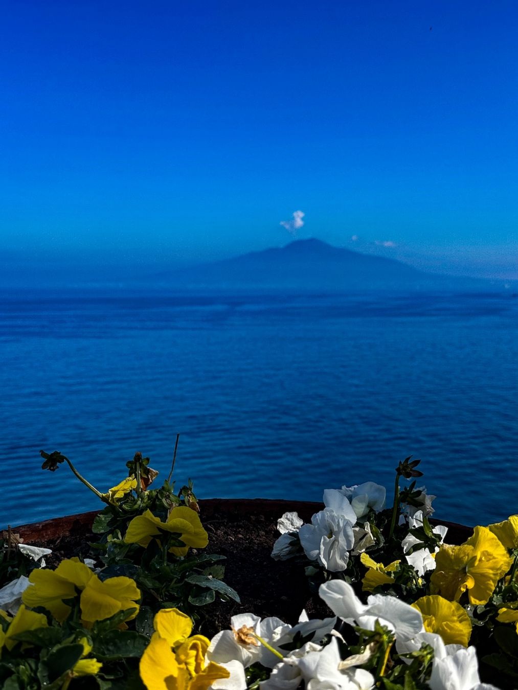 Il Vesuvio visto dal belvedere del Museo Correale; © Angelo Pittro
