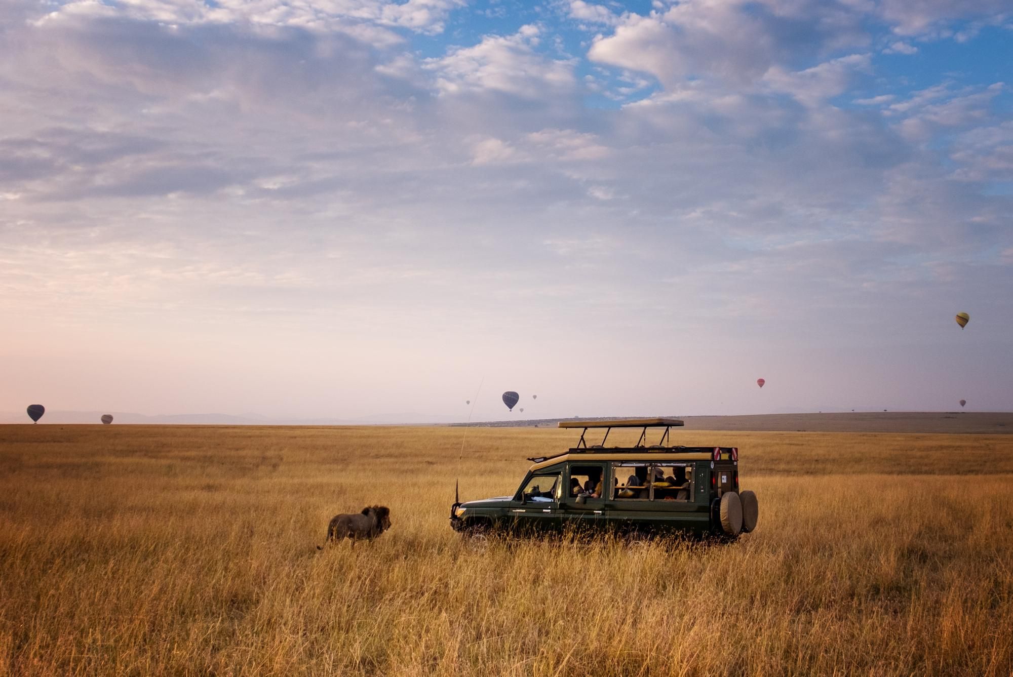 I veicoli privati non possono più circolare all'interno della Riserva Nazionale Masai Mara, Kenya ©Getty Images