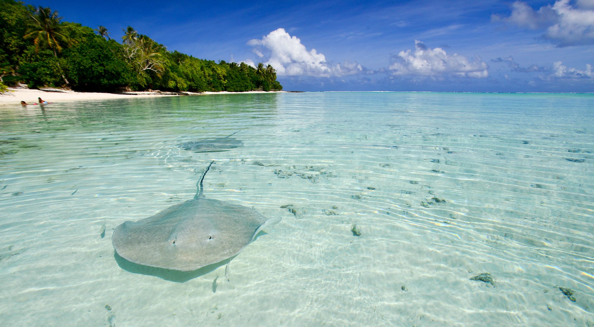 Le acque di Maupiti sono perfette per lo snorkelling ©Stanislav Fosenbauer/Shutterstock