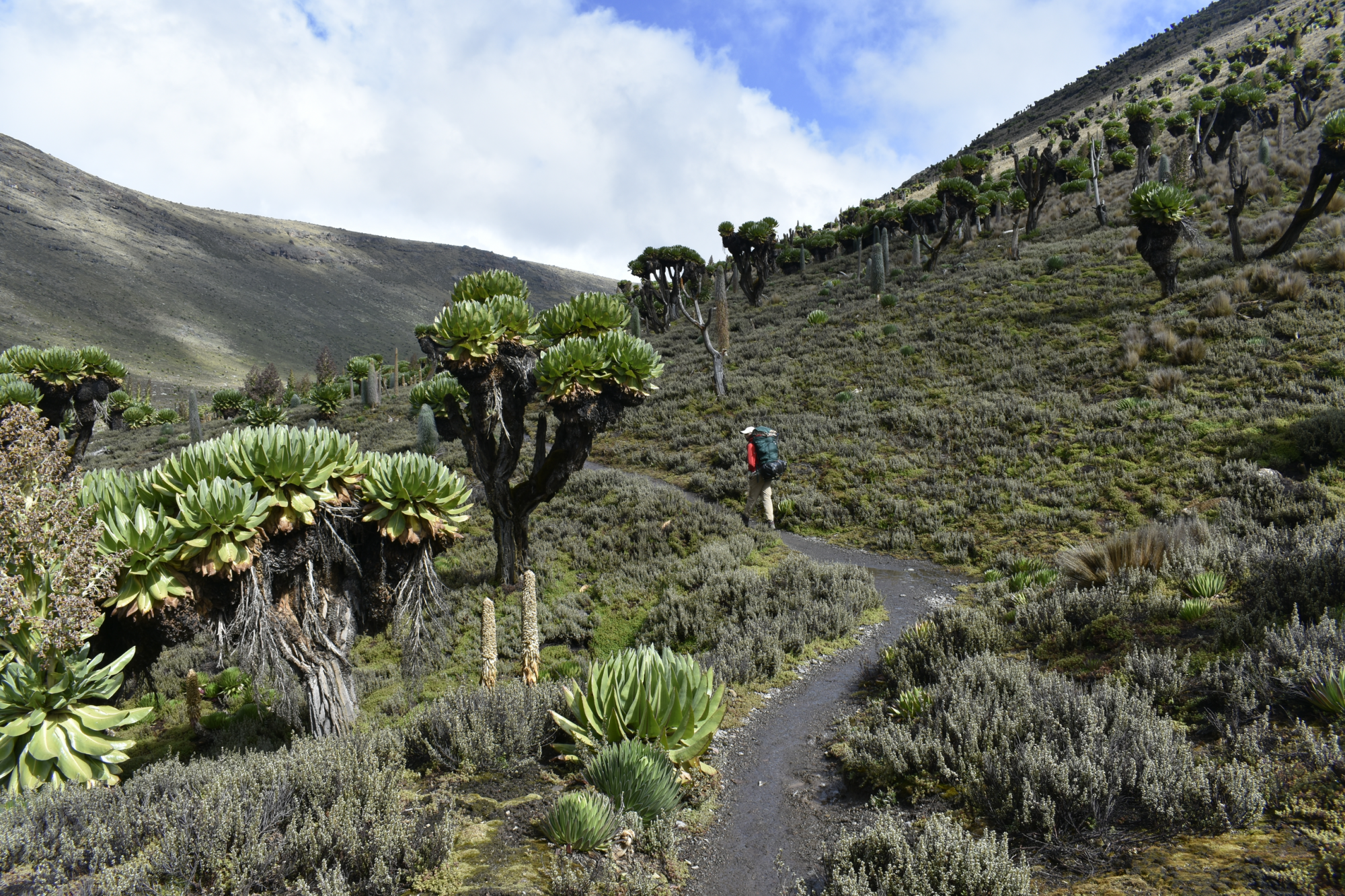 Il Monte Kenya è la seconda cima più alta dell'Africa