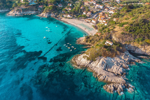 Le tartarughe all’Isola d’Elba: la schiusa delle uova e il turismo responsabile