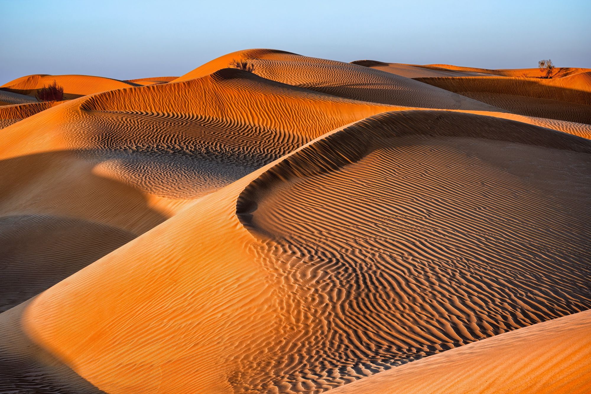 Le dune del Quarto Vuoto in Oman ©Jiri Vlach /Shutterstock