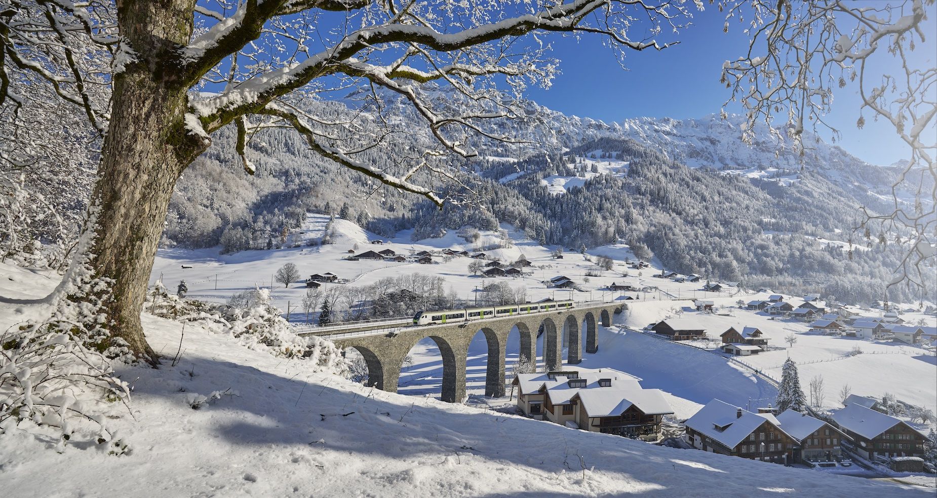 Il Trenino Verde delle Alpi a Frutigen. Credit BLS