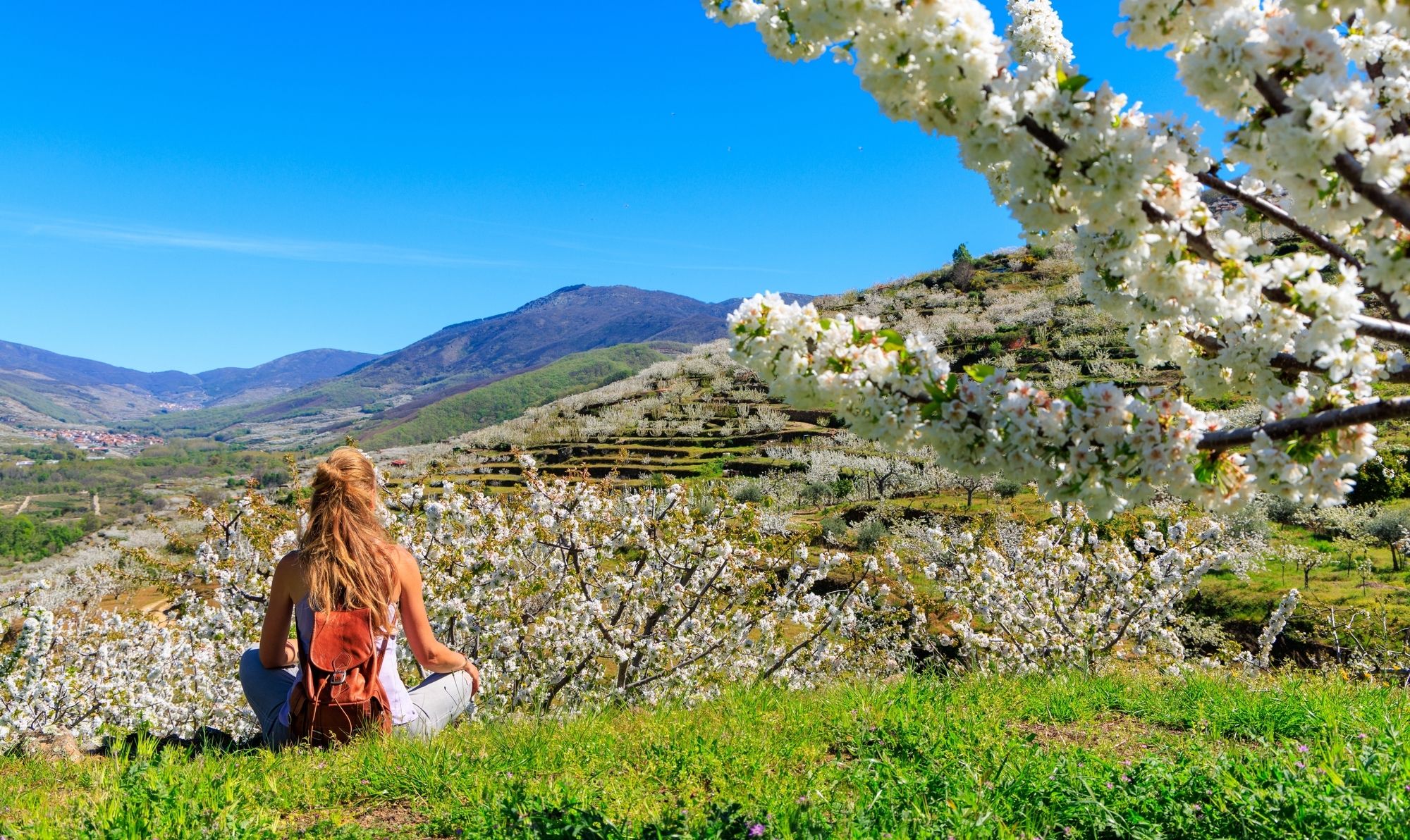 In primavera la Valle del Jerte si tinge di bianco grazie alla fioritura dei ciliegi ©margouillat photo / Shutterstock