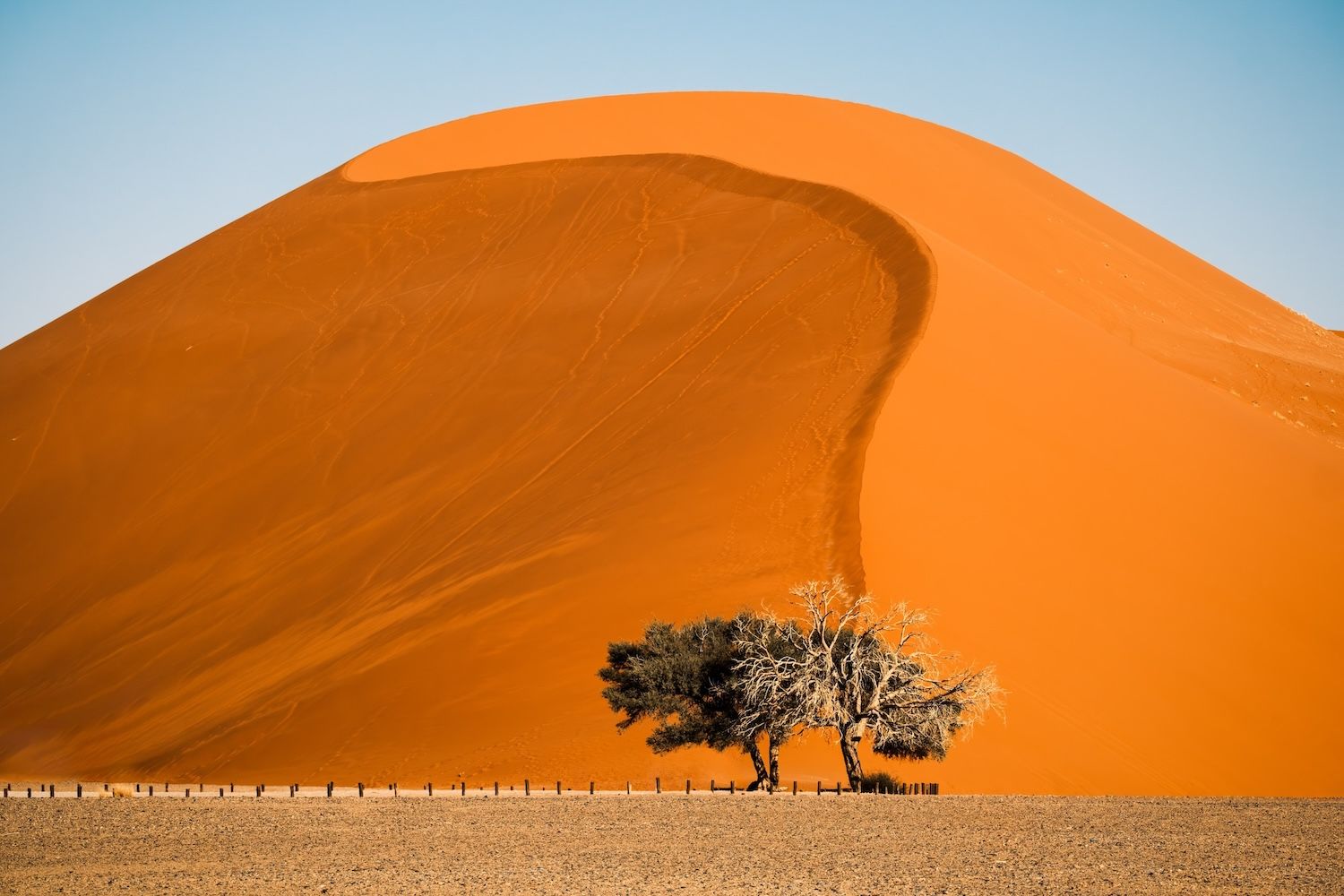Le dune del Sossusvlei nel Namib © Maurizio De Mattei/Shutterstock