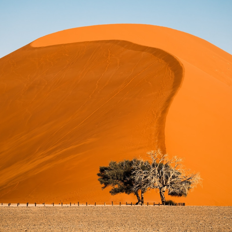 Le dune del Sossusvlei  nel Namib © Maurizio De Mattei/Shutterstock