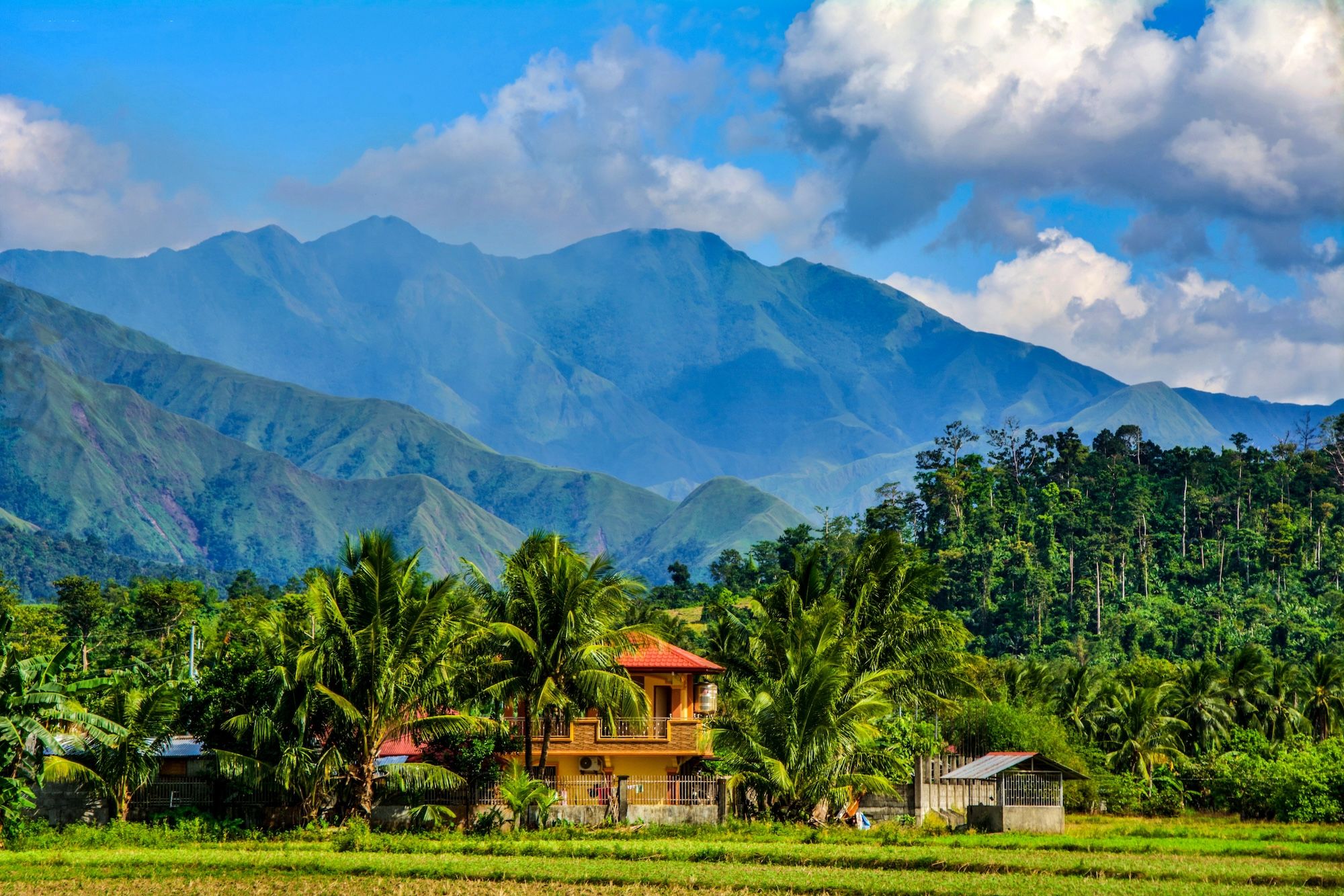 Il paesaggio tra campi di risaia, palme da cocco e montagne a Mindoro ©photosounds/Shutterstock