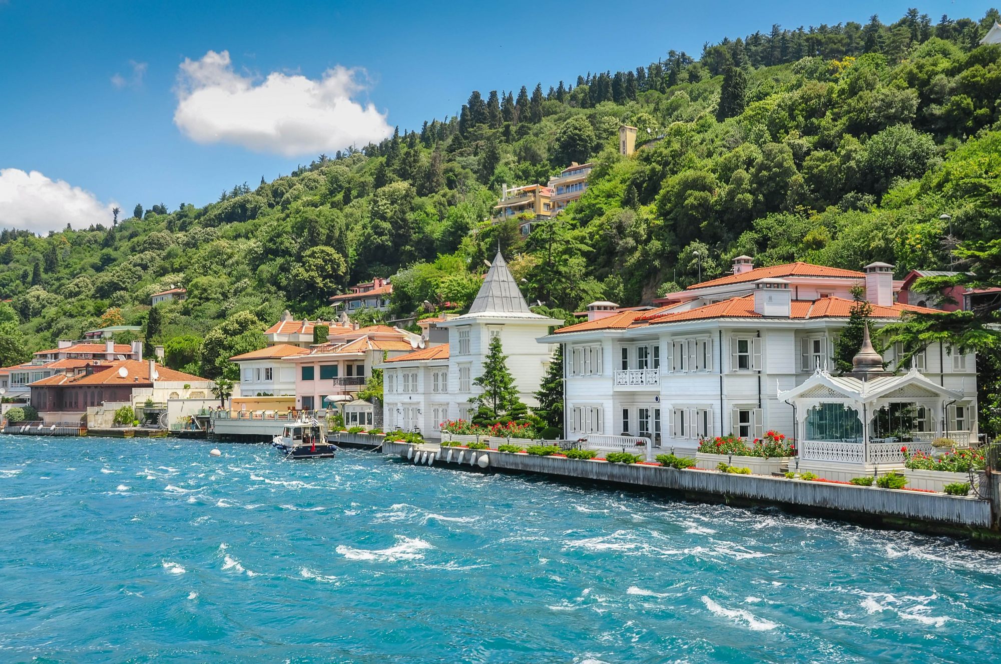 Le Isole dei Principi sono perfette per chiamarsi fuori dal caos di İstanbul. © Ann Stryzhekin/Shutterstock