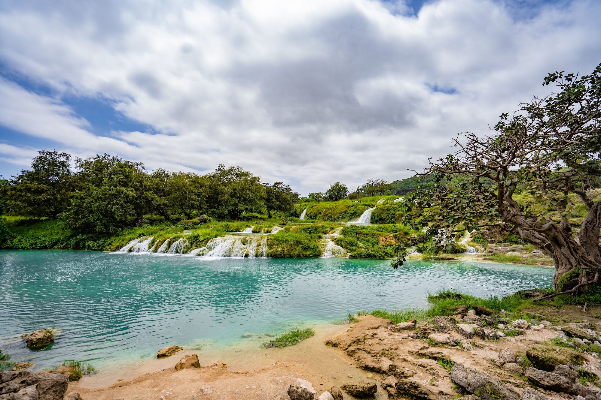 Un ultimo scorcio di verde a Salalah prima di entrare nel deserto ©Emranovic /Shutterstock