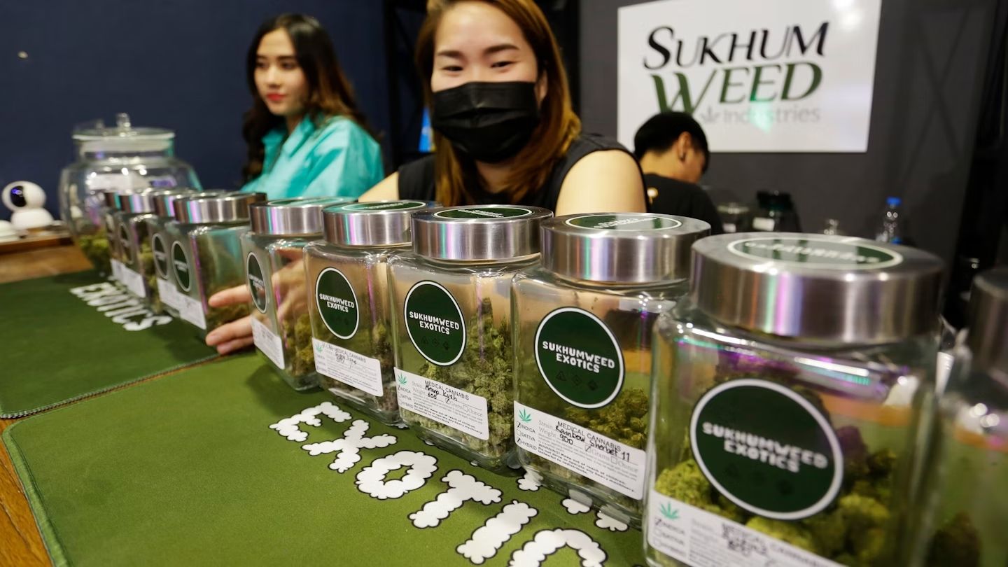 Marijuana in vendita nel negozio Sukhumweed, Bangkok, estate 2022. © Nelson Antoine / Shutterstock