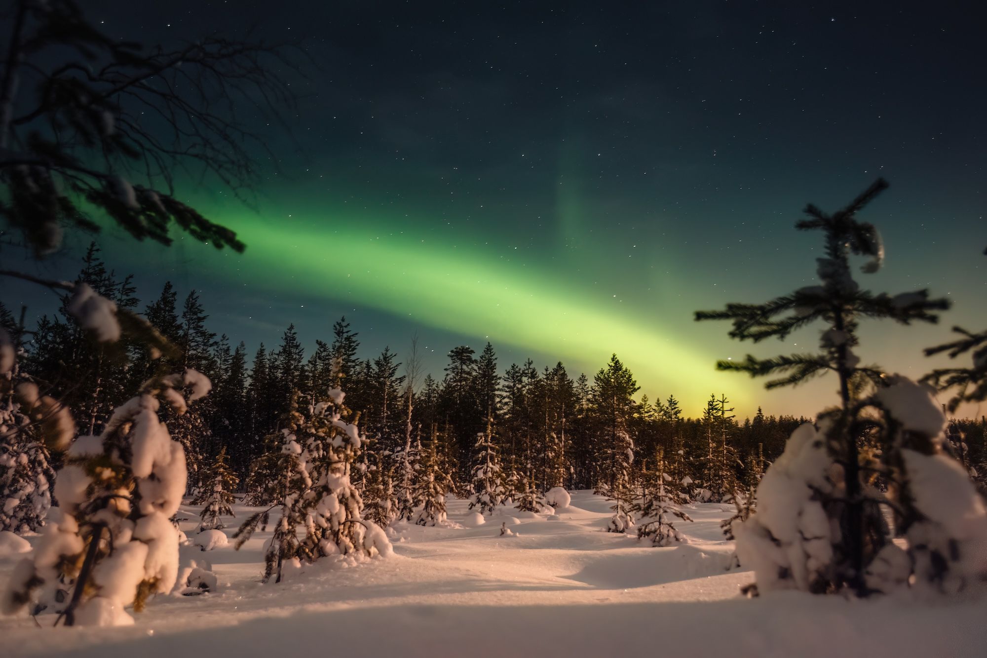 Luci del Nord sulla foresta innevata fuori Rovaniemi, Lapponia © BenBepz/Shutterstock