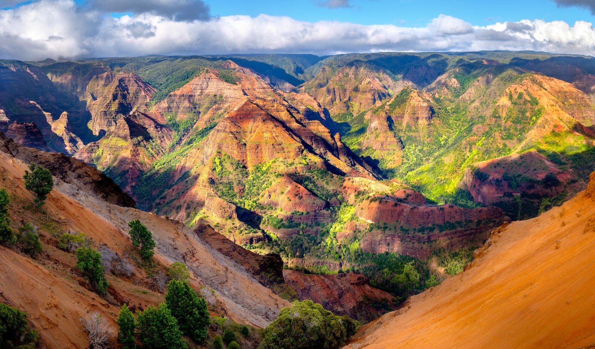 Il Waimea Canyon © Martin M303/Shutterstock