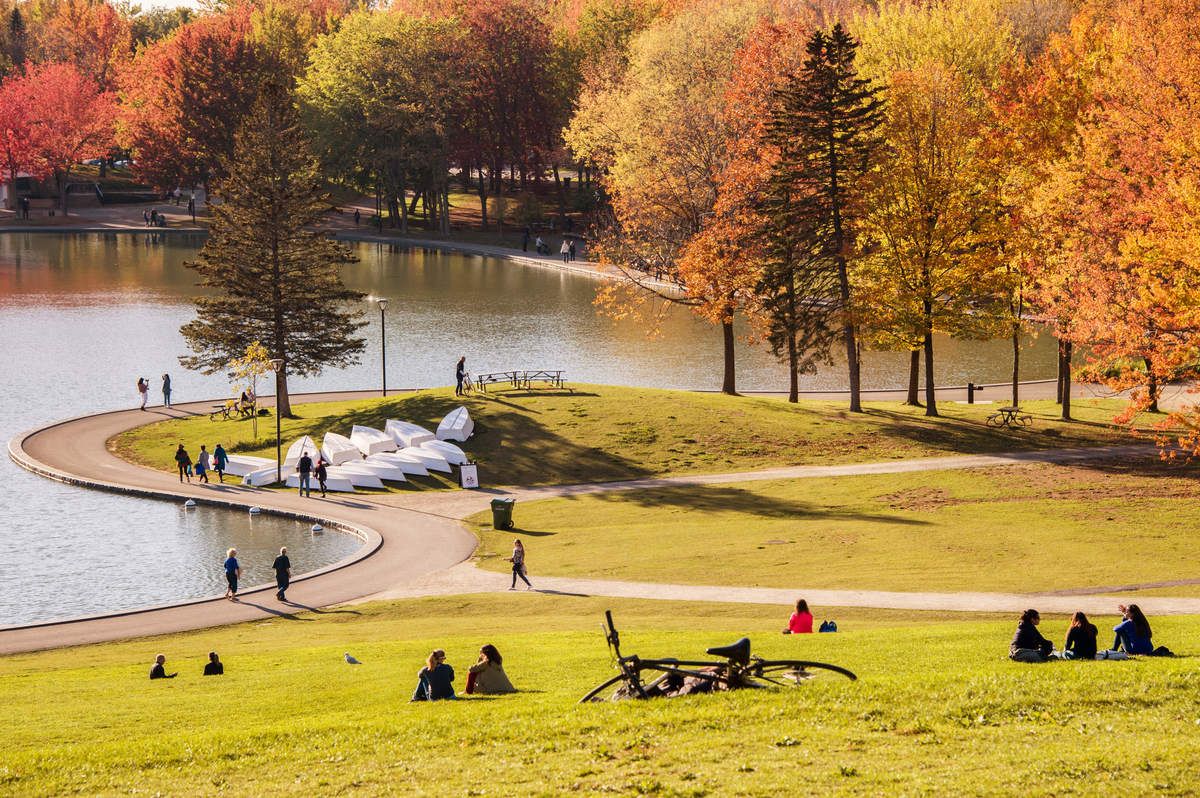 cosa vedere a montreal in un giorno