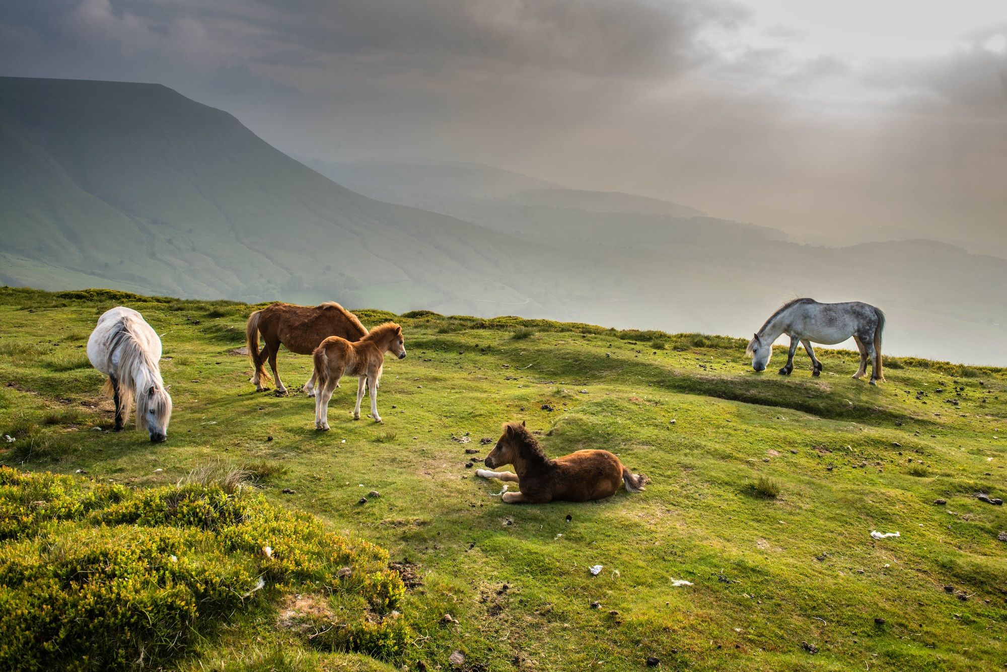 Sulle alture del Cenedlaethol Bannau Brycheiniog (il Brecon Beacons National Park) ©Laurie Dugdale/Shutterstock