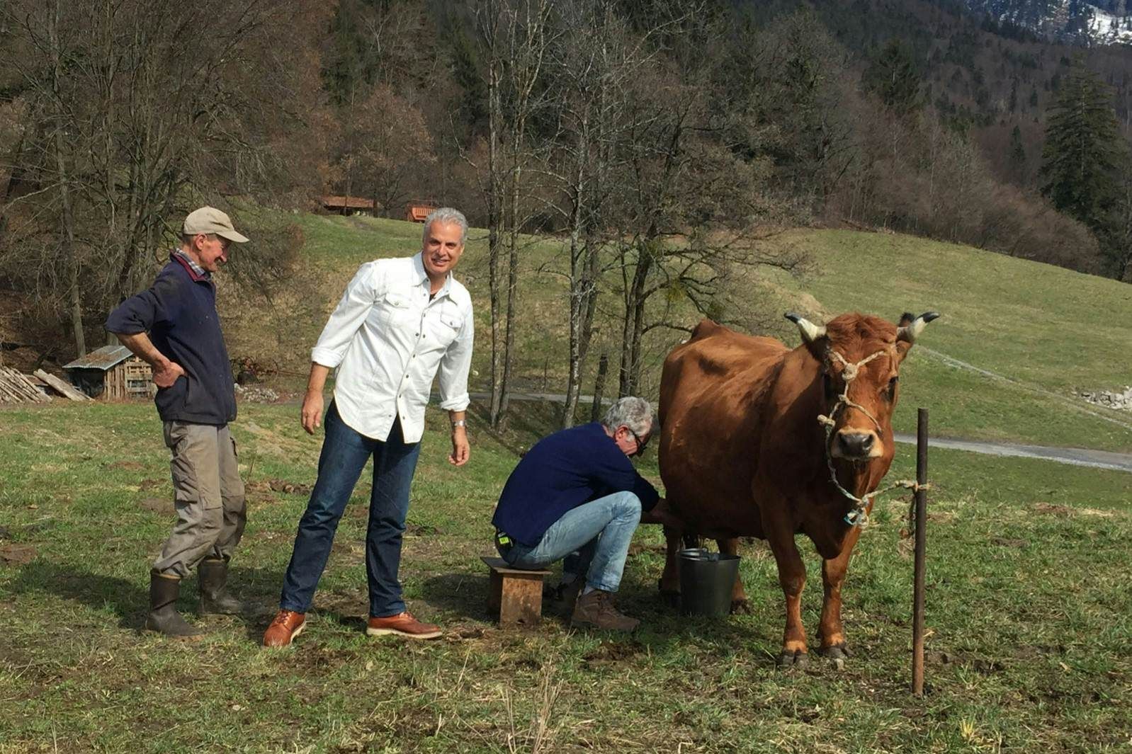 Mungere una mucca fa parte dell’esperienza delle Alpi francesi. © CNN