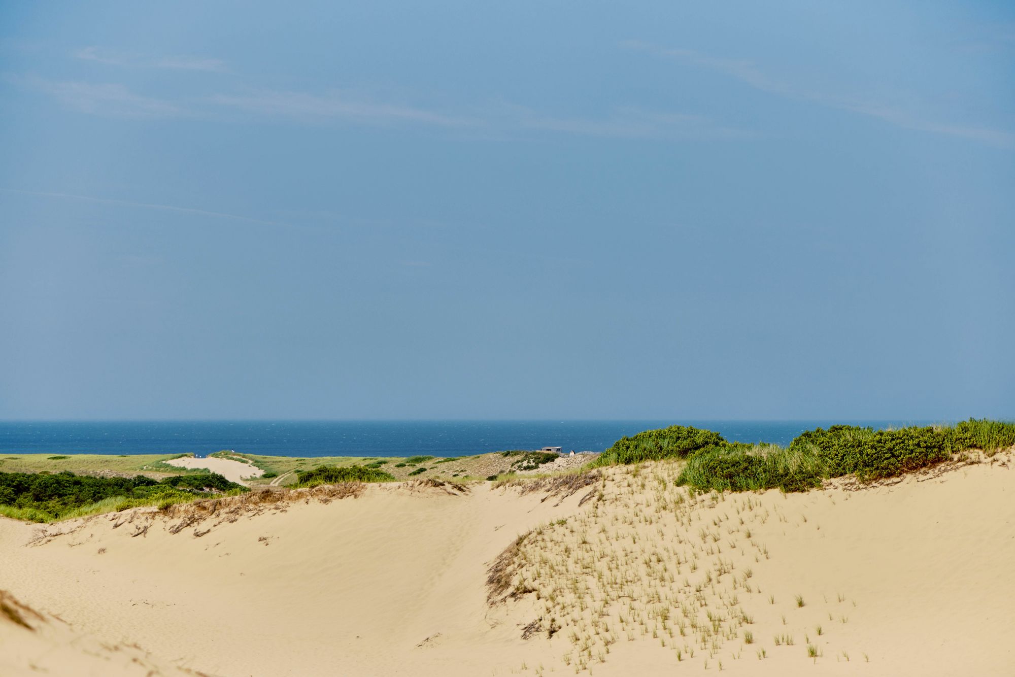 Un tratto del Cape Cod National Seashore. © Eli De Faria per Lonely Planet